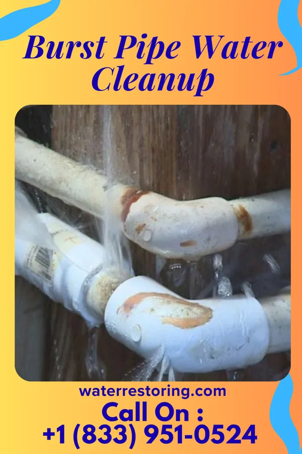 Burst Pipe Water Cleanup in Manilla, IA