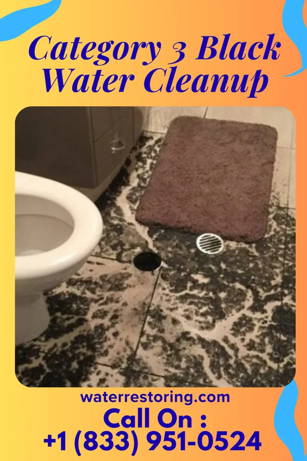 Category 3 Black Water Cleanup in Manilla, IA